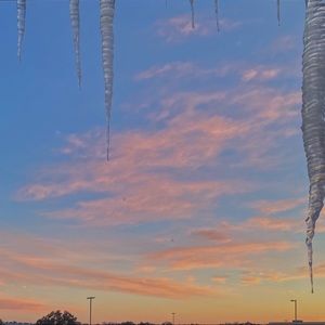 Meet your Posher, Maddie